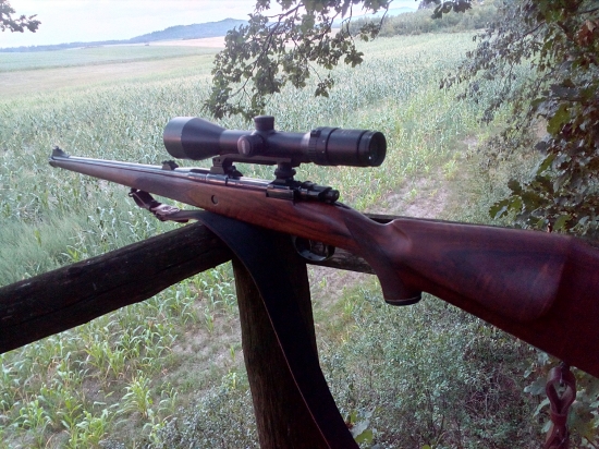 Celopažba 8x57js
