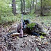 Lanštiak z jelenej ruji..