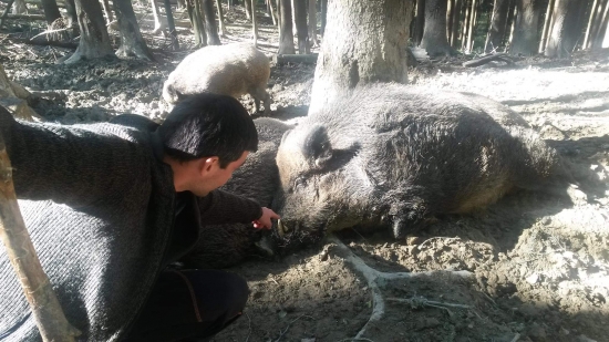 Kanec - asi 3 metráky váhy