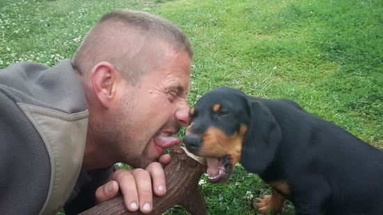 DAG a DZIGY