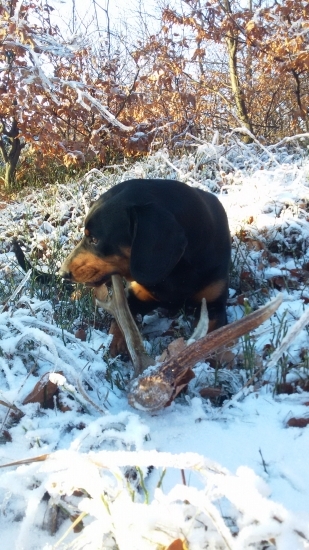 DAG a jeho prvý zhodíK.