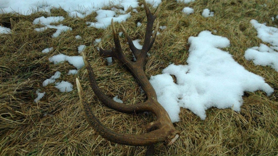 Zatiaľ môj najväčší- 22 torák