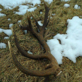 Zatiaľ môj najväčší- 22 torák