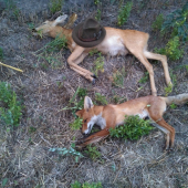 Vydarený večer....