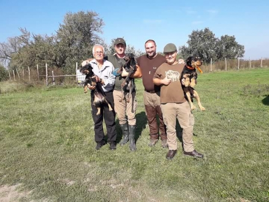 Pracovne skusky na diviakov JGT madarsko