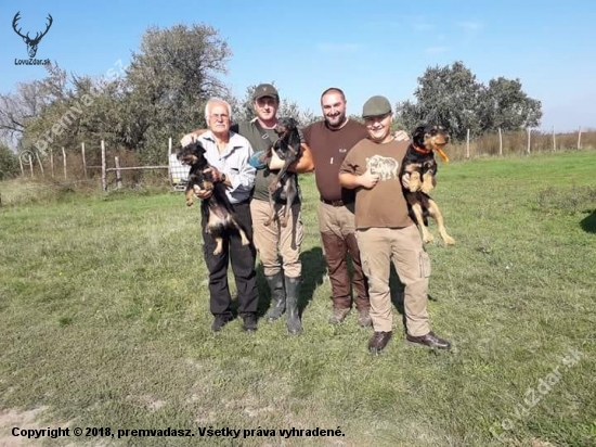 Pracovne skusky na diviakov JGT madarsko