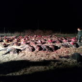 107 ks MADARSKO