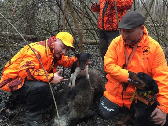 Keď sa kopov vydarí....