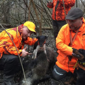 Keď sa kopov vydarí....