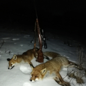 Big brother, strieborný