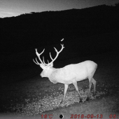 Aký má podla vás vek?