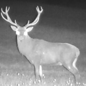 Hádanka čislo dva. Vek?????