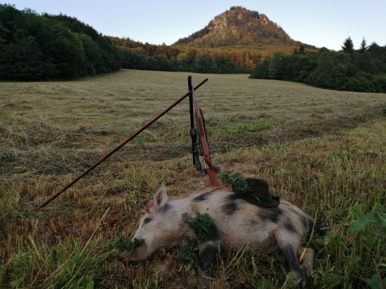 Albín z pod Vlčinca