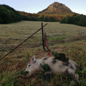 Albín z pod Vlčinca