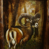 Muflón