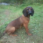 KERY z Púčikovho dvora 4 mesiace