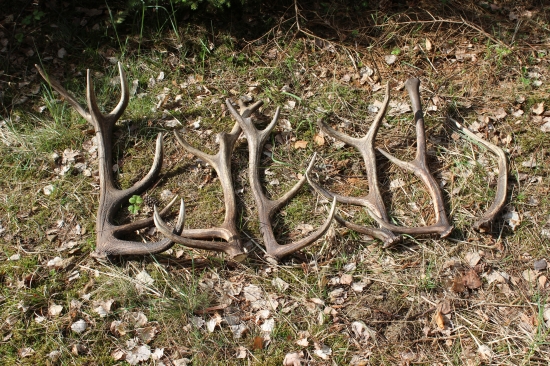 dnešní vydařená neděle