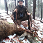 Předsilvestrovsky Jelen