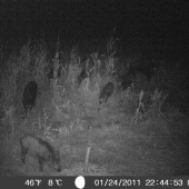 Este sa par klaskov najde