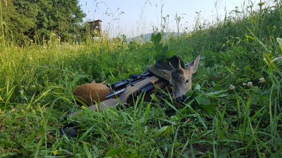 Z rána sa pošťastilo