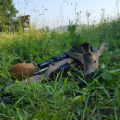 Z rána sa pošťastilo