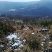 Ked sa srdiecko rozbusi ????