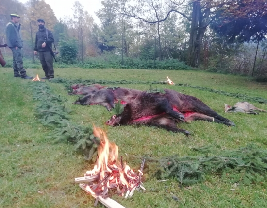 ... čas spoločných poľovačiek začal...