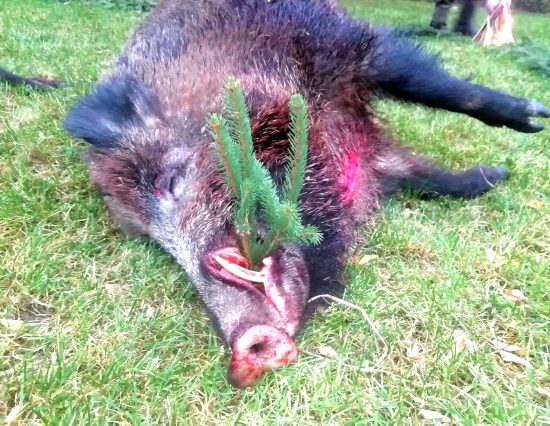 ... kanec z pohonu...