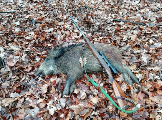 ... diviacik z pohonu...