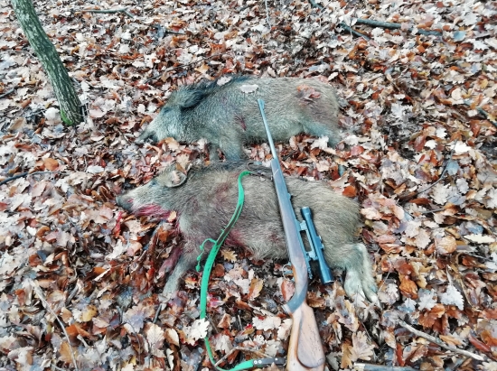 ... prasiatka z pohonu...