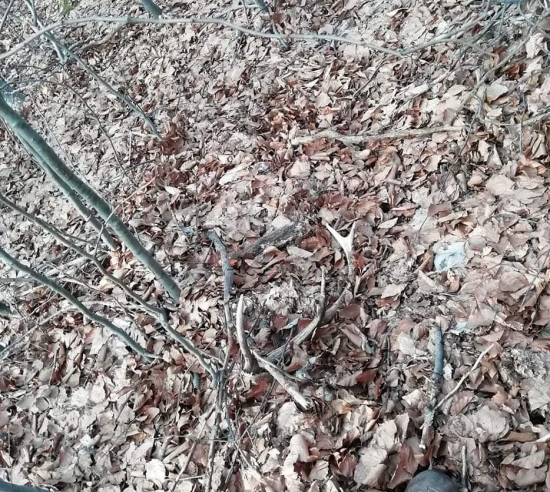 ...takto si lezal dlhšie...