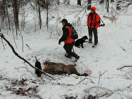 ...na  dohľadavke s kopovmi...