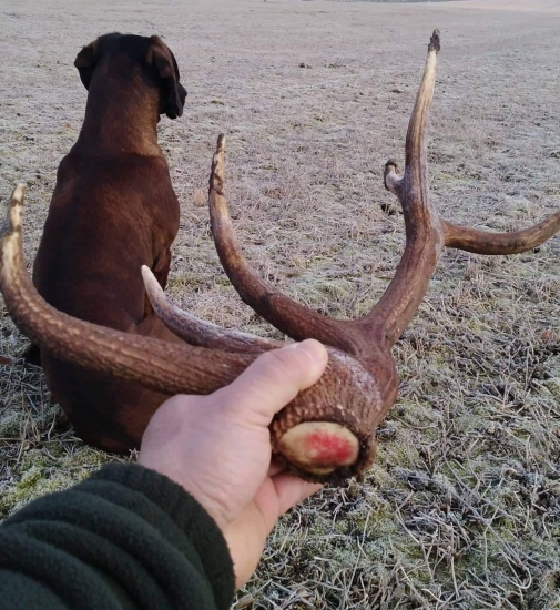 ... treba mať šťastie...