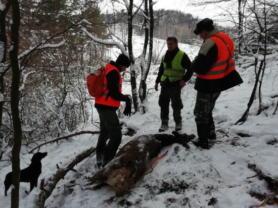 ...dohľadaná, ulovená...