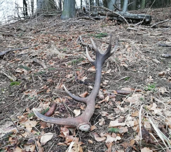 ...taký čo vycaruje úsmev...