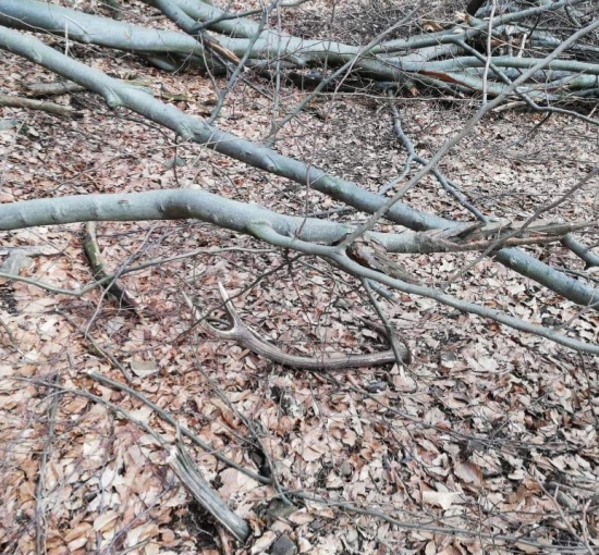 ...taký nenápadný...