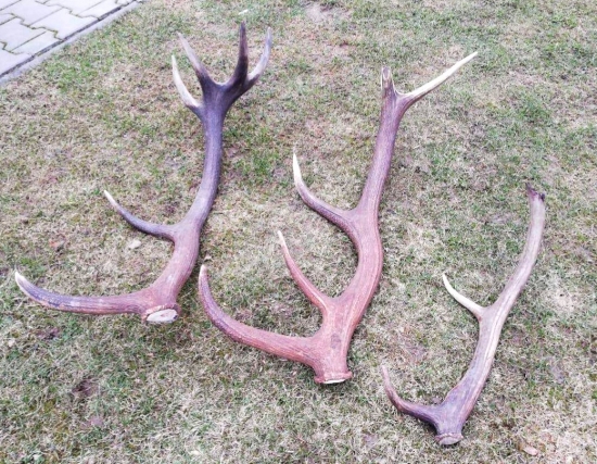 ... zadarilo sa aj Tomášovi...