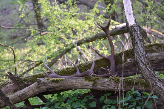 ...zhodárska sezóna ukončená...