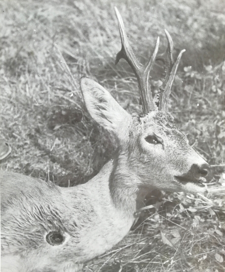 ...rodinné retro...