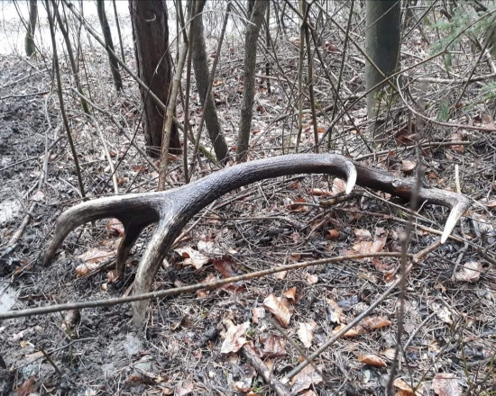 ... Taky lepší do páry... 3,40 kg...