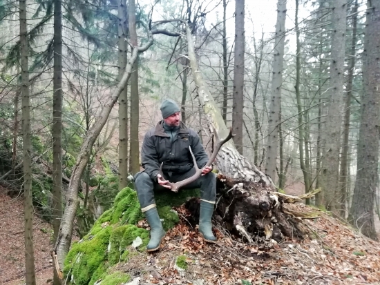 ...dvanastoráčik...