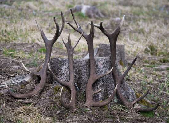 ...také, čo potešia oko...