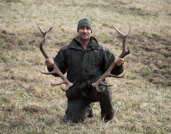 ...pára dvanastoraka...