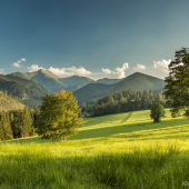 Podvečer v T.Javorine
