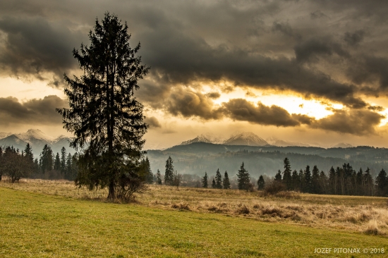 Solitér