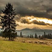 Solitér