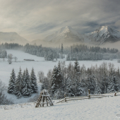 jak na nový rok,tak.....