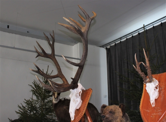 Najlepšie v Poprade