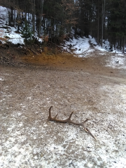 jedno pekné februarove ráno