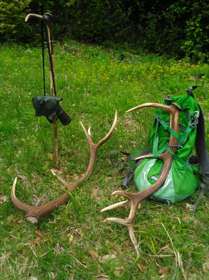 Celkom dobré na záver sezony.